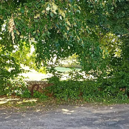 Apartamento Sympa Au Rez De Chaussée *